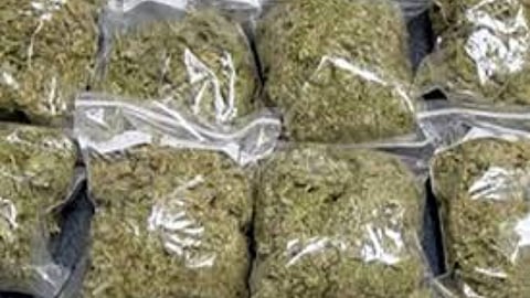 barshi-police-ganja-seizure-140-crore-august-2025