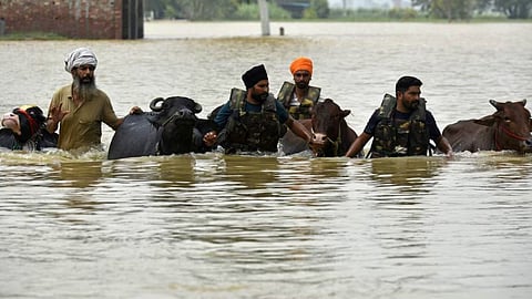 punjab flood