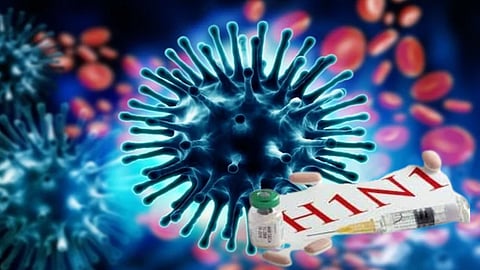 swine-flu-cases-maharashtra-2025-mumbai-pune-nagpur