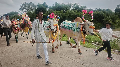 wardha-pola-farmers-protest-slogans-msp-loan-waiver-2025