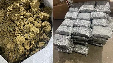 मुंबई एयरपोर्ट पर 12 करोड़ का गांजा जब्त (pic credit; social media)