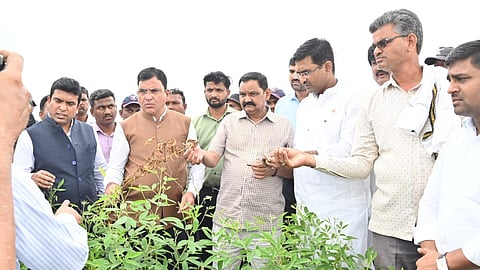पालकमंत्री उइके ने क्षतिग्रस्त कृषि उत्पादों का निरीक्षण किया
