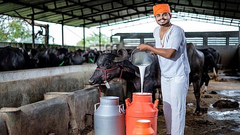 GST reforms will boost the dairy sector