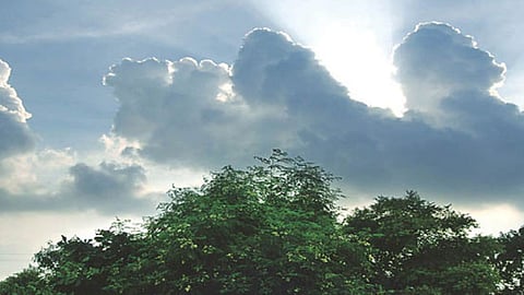 Gondia receives 40 percent less rain in August crops in trouble