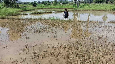 Maharashtra government announces 13 crore relief package for Gadchiroli