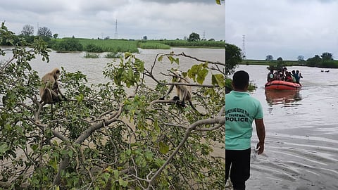 Yavatmal जिले के पुसद संभाग में पिछले दो दिनों से तालुका में हो रही बारिश के कारण बाढ़ जैसे हालात पैदा हो गए हैं। पूस नदी में आई बाढ़ के कारण सैकड़ों हेक्टेयर में बची हुई फसलें भी जलमग्न हो गई हैं।