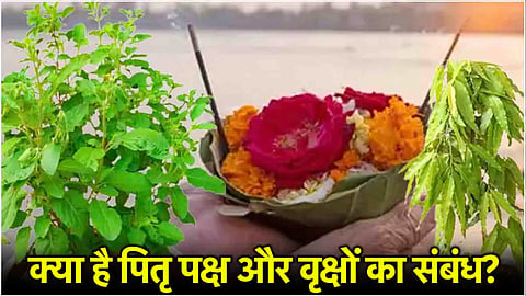 पितृपक्ष में ज़रूर लगाएं ये 3 पौधे, पितरों का मिलेगा आशीर्वाद, सुख-समृद्धि के बनेंगे योग