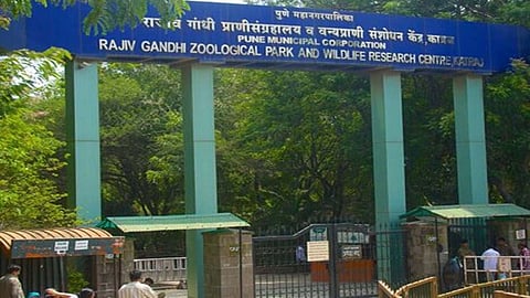 Pune के राजीव गांधी प्राणी संग्रहालय जिसे शहर का एक महत्वपूर्ण आकर्षण माना जाता है। अब इसकी तस्वीर बदलने वाली है। पुणे में अब इंटरनेशनल लेवल का प्राणी संग्रहालय बनने की तैयारी की जा रही है।
