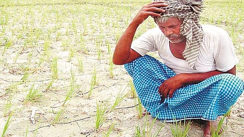 Rain damages Karanja in Wardha Damage assessment report not being done