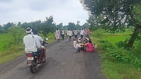 Tiger Seen in Chandrapur: चंद्रपुर जिले में व्याहाड बुज केरोडा मार्ग पर खेत की मेड़ पर अचानक एक बाघ और उसका शावक दिखाई दिया।