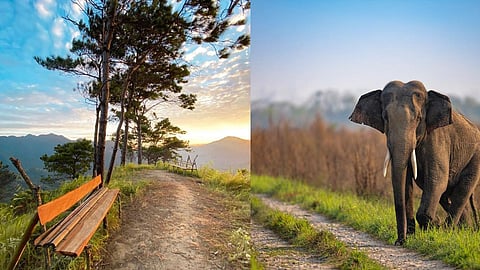 असम की ऑफबीट डेस्टिनेशन जहां मिलेगी मन को सुकून, नहीं गए तो होगा पछतावा
