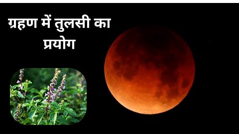 चंद्रग्रहण के दौरान भोजन में क्यों डाली जाती है तुलसी, जानें ग्रहण में तुलसी और कुश का महत्व