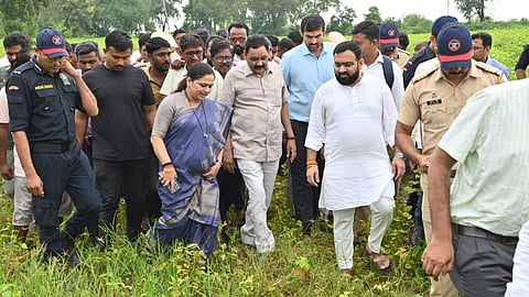 chandrapur-ashok-uike-soyabean-crop-damage