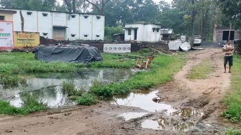 gadchiroli-tadgaon-paddy-godown-rotting-issue