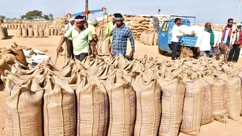 price-paddy-procurement-scheme-613-crore-was-transferred-to-bhandara-farmers-accounts
