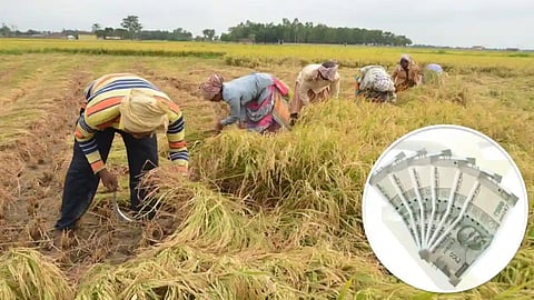 3782 forest patta holder farmers of Gadchiroli did not get bonus