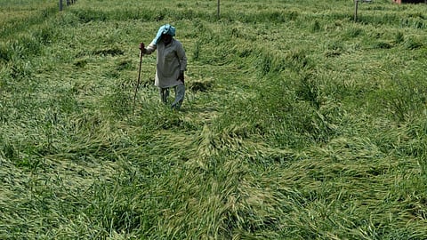Crops Destroyed in Nagpur District: नागपुर जिले में इस साल भारी बारिश और बाढ़ के कारण किसानों का भारी नुकसान हुआ है। प्रशासन ने किसानों के नुकसान का पंचनामा कर शासन तक रिपोर्ट भेज दी है।