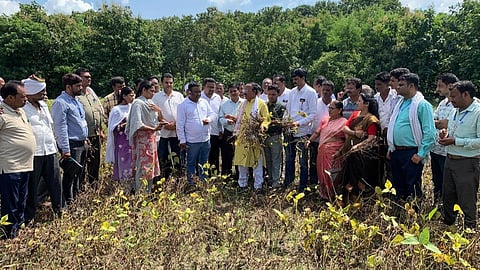MLA Sudhir Parve Inspected Damaged Areas: राज्य में भारी बारिश के बाद उमरेड में किसानों की फसलों को नुकसान पहुंचा। इस नुकसान की भरपाई करने के लिए पूर्व विधायक ने क्षतिग्रस्त इलाकों का निरीक्षण किया।