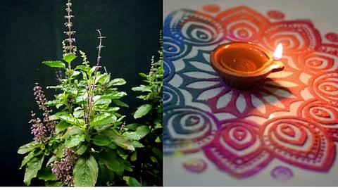 दिवाली के दिन कर लें तुलसी के ये उपाय, माता लक्ष्मी की कृपा से बनेंगे धन के योग!