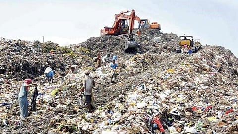 Mumbai के कल्याण में दिवाली पर महिला का 5–6 लाख का सोने का हार गलती से कचरे में चले गया था। कल्याण मनपा और ठेकेदार कर्मचारियों की मदद से हार मिलने पर सुरक्षित महिला को वापस लौटा दिया गया।