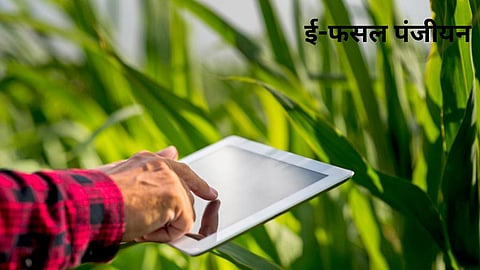 ई-फसल पंजीयन समय सीमा वृद्धि के बावजूद परेशानी