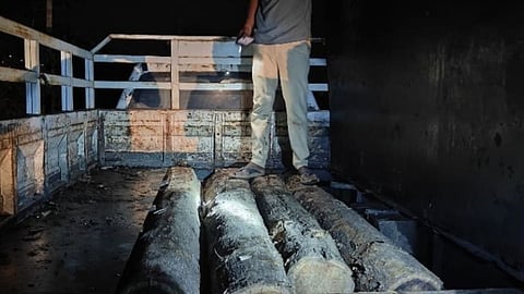 Gadchiroli Chitlapalli Forest guard complicit in teak smuggling