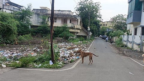 Wardha के केलकरवाड़ी इलाके में एक बिल्डिंग के पीछे खाली प्लॉट पर गंदगी पसरी हुई है। जिसके कारण आने वाली गंदी बदबू से परिसर में रहने वाले नागरिकों को मुश्किलों का सामना करना पड़ रहा है।