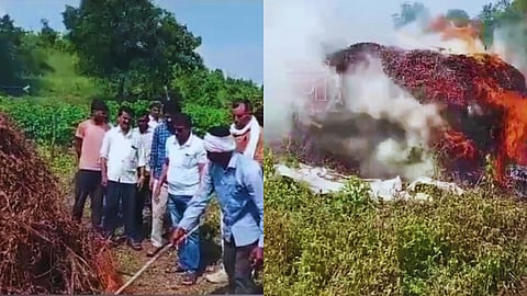 Farmers Loss in Katol: नागपुर जिले के काटोल तहसील में फसलों को भारी नुकसान के बाद निराश किसान ने अपनी ही सोयाबीन की फसल को आग लगा दी। किसान ने कहा कि अब खुदकुशी ही पर्याय रह गया।
