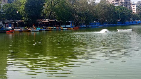 भाजपा और शिवसेना जैसे राजनीतिक दलों के द्वारा Thane के मासुंदा तालाब के किनारे दिवाली के मौके पर रंगारंग कार्यक्रम का आयोजन किया जा रहा है। ठाणे में दीपावली के अवसर पर दिवाली पहाट प्रोग्राम मनाया जाएगा।