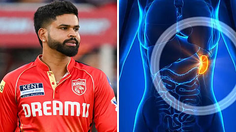 क्या होता है शरीर में स्प्लीन ऑर्गन का काम