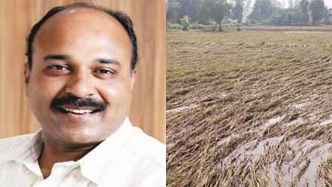 Akola News: जून से सितंबर 2025 के बीच भारी बारिश और बाढ़ के कारण व्यापक आपदा उत्पन्न हुई थी।