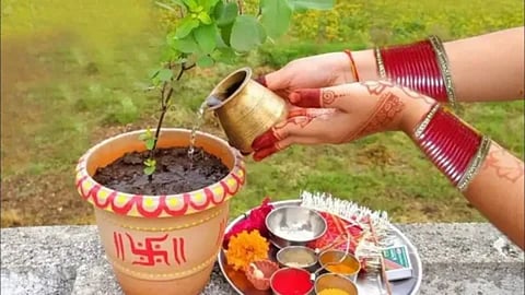 किस-किस दिन तुलसी पूजन है वर्जित, और किस दिन घर में तुलसी लगाना है शुभ!