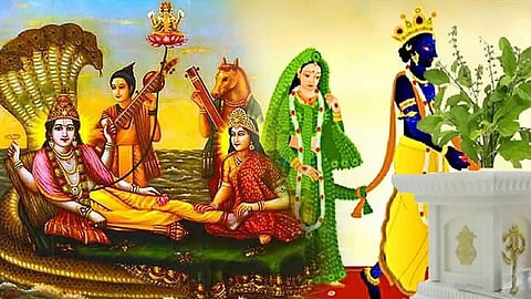 रविवार को 'तुलसी विवाह' तुलसी के पास भूल से भी न रखें ये चीजें, वरना भुगतने पड़ सकते हैं ये परिणाम