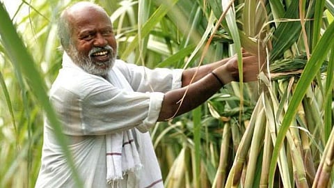 1 लाख 84 हजार किसानों को मिली अतिवृष्टि की मदद