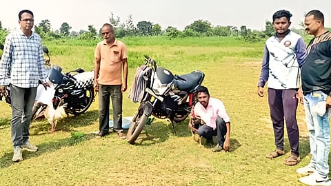 bhandara-lakhandur-police-crackdown-cockfighting-gambling