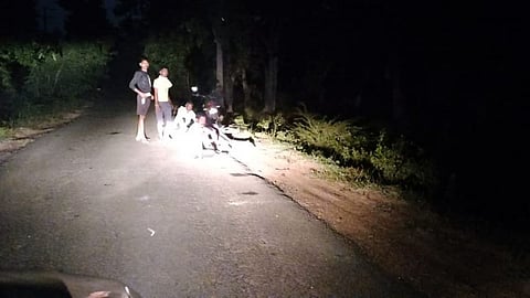gadchiroli-elephant-terror-farmers-guard-crops