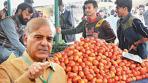 टमाटर ने बनाई शहबाज सरकार की चटनी...700 रुपए किलो पहुंची कीमत, बॉर्डर पर फंसे हैं हजारों ट्रक