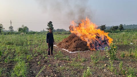Farmers Burn Soybean Crop Maharashtra: अतिवृष्टि और फसल की नाकामी से जूझ रहे किसानों की बेबसी एक बार फिर सामने आई है। आष्टी तहसील के दो किसानों ने निराशा में अपनी सोयाबीन फसल को आग के हवाले कर दिया।