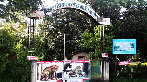 Leopard Control Centre