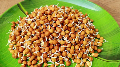 डायबिटीज मरीजों के लिए बेस्ट नाश्ता है अंकुरित चना