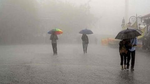 imd-yellow-alert-maharashtra-rain-update-november-forecast