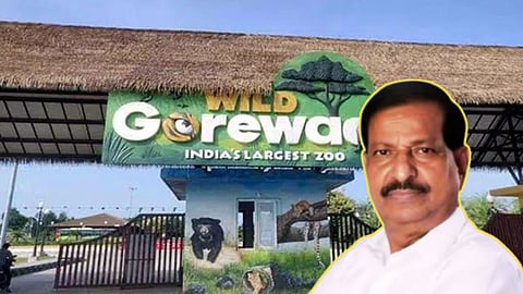 maharashtra-wildlife-conflict-ganesh-naik-new-zoo-project-ai-leopard-management
