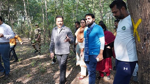 nashik-kumbh-2027-tapovan-tree-cutting-protest-for-sadhu-gram