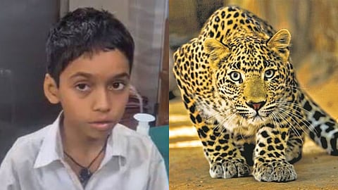 palghar-11-year-old-student-bravery-leopard-attack-news