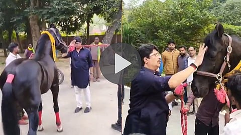 raja-bhaiya-royal-style-buys-expensive-trojan-horse-welcome-video