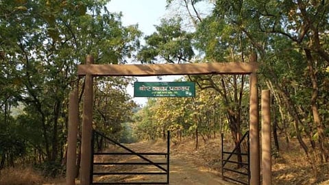 बफर सफारी का शुभारंभ कब?