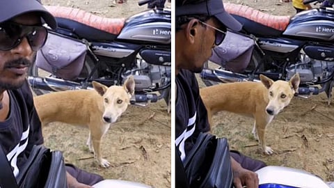 A man’s strange prank on a dog went viral on Instagram, drawing widespread criticism for unnecessarily disturbing the animal.