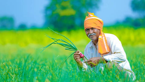 Farmers