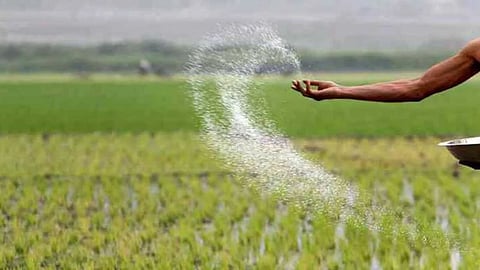 Fertilizer Price Increase