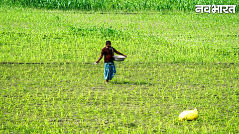 Farmer Income Boost